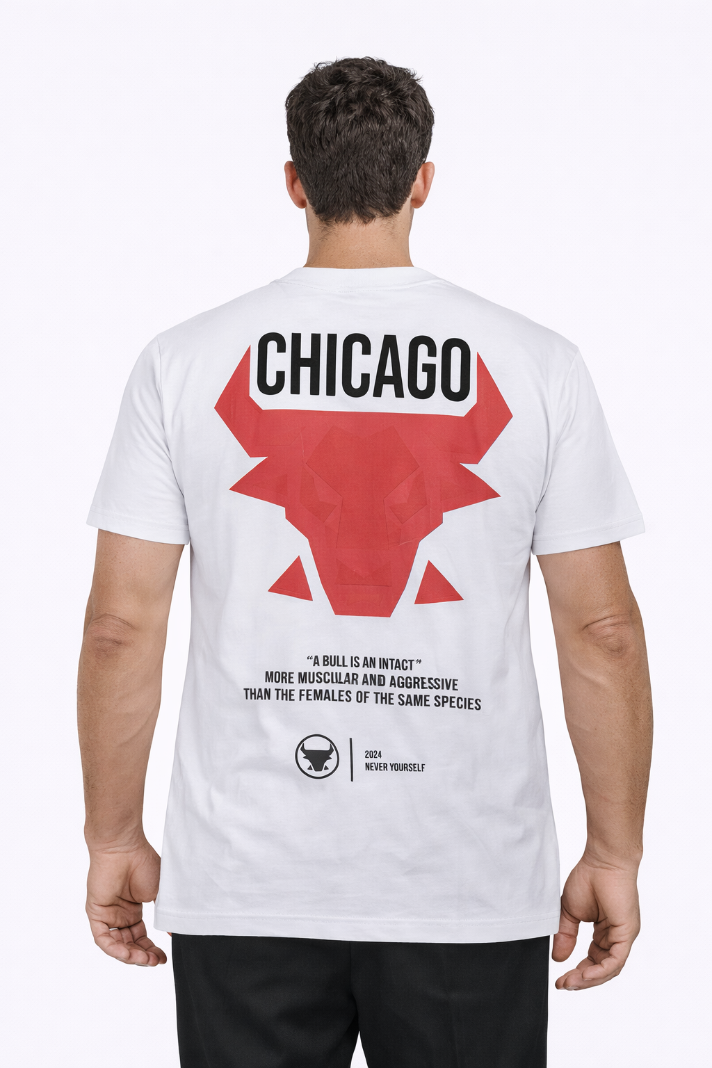 Tee-shirt CHICAGO