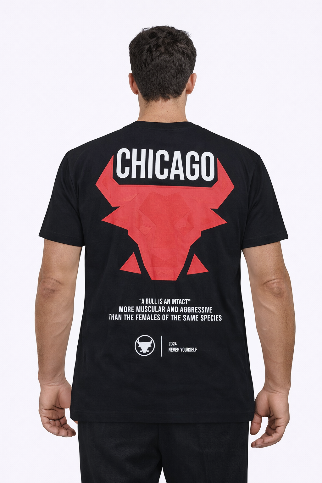 Tee-shirt CHICAGO