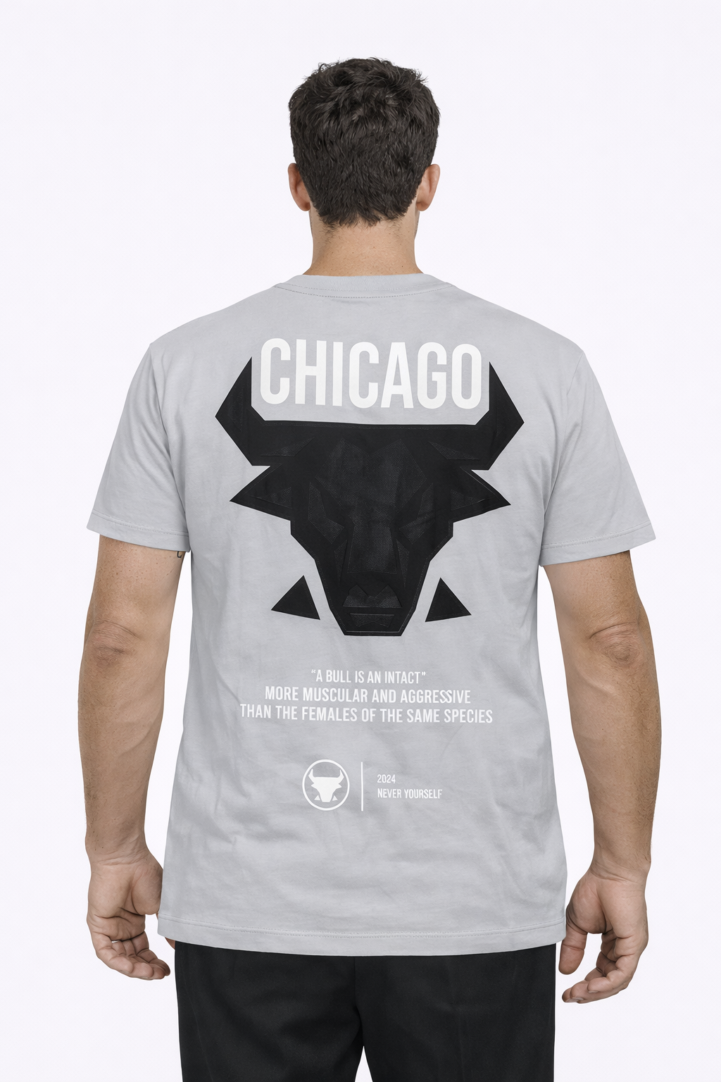 Tee-shirt CHICAGO