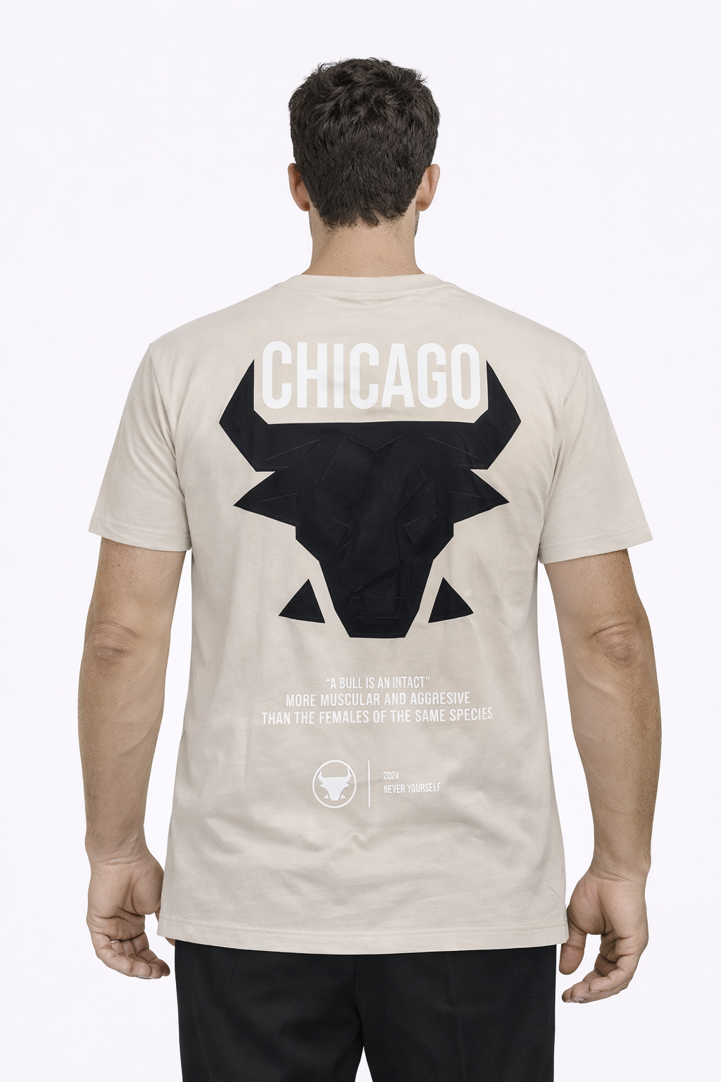 Tee-shirt CHICAGO